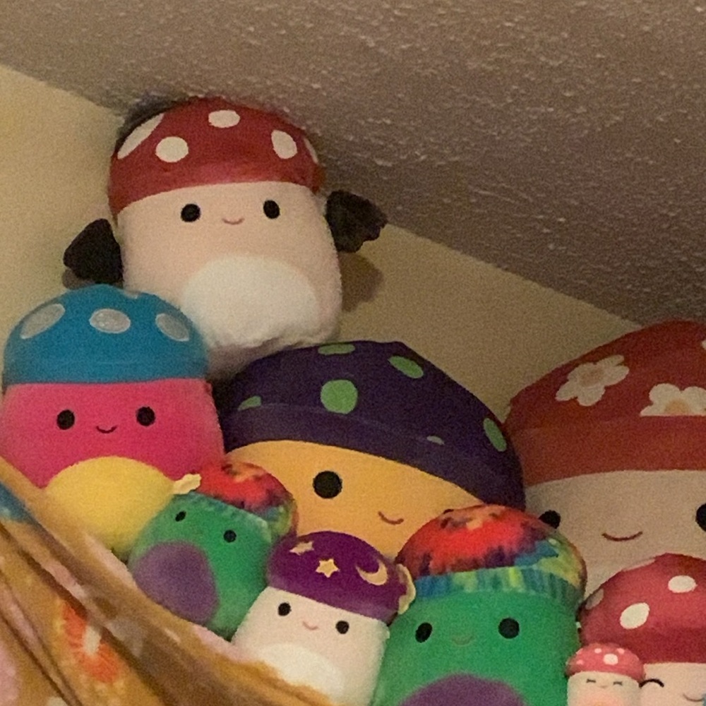 HUGE Mushroom Squishmallow bundle NWT, almost every mushroom squishmallow - Picture 4 of 11